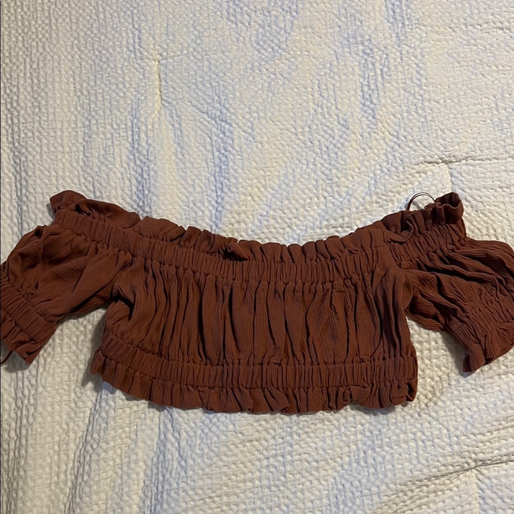 Vici Brown Smocked Crop Blouse